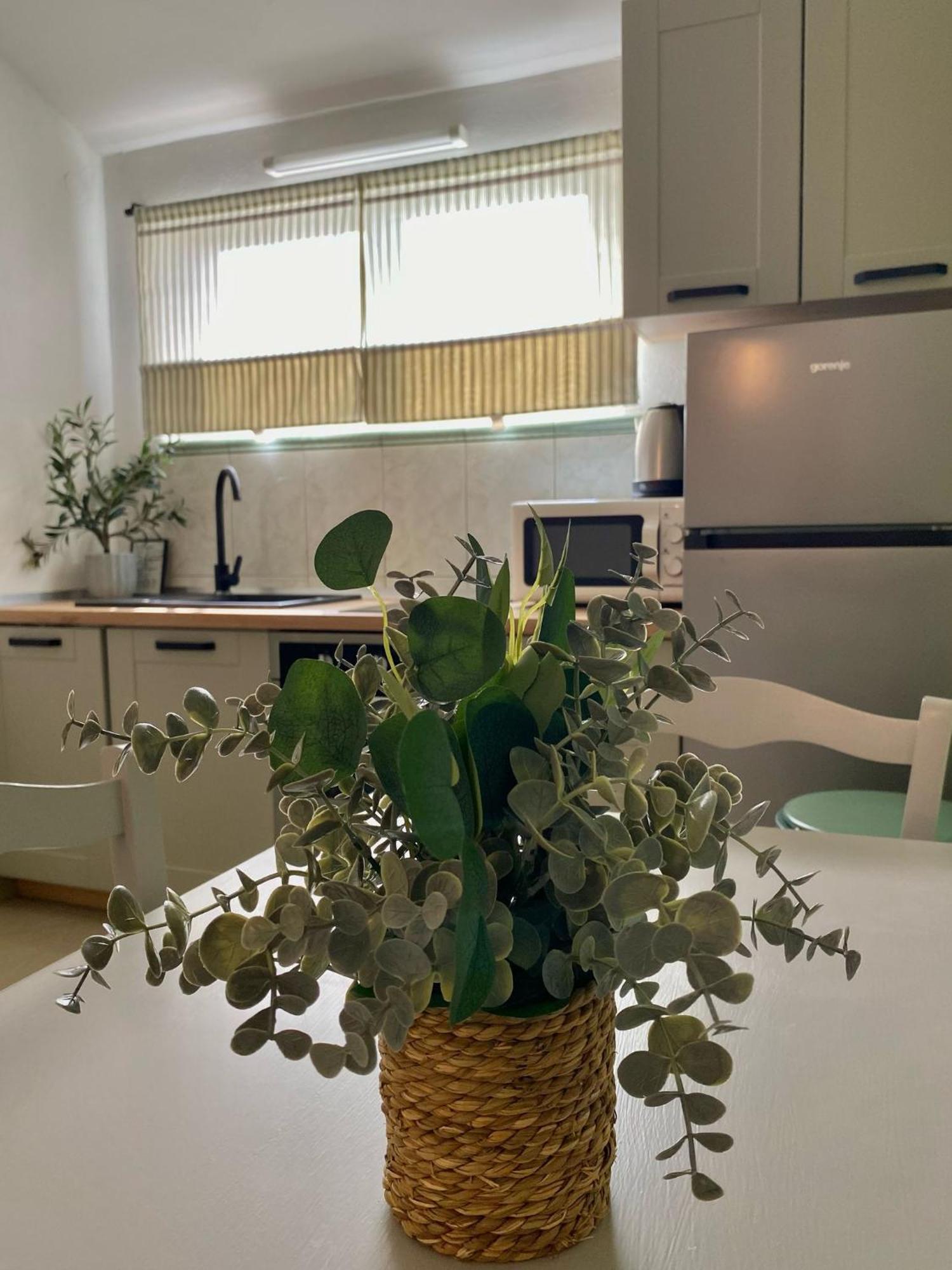 Apartments Maria Куклица Екстер'єр фото